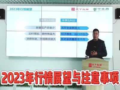 2023年行情展望與注意事項 (3674播放)