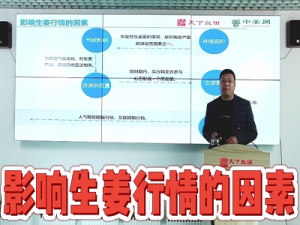 影響生姜行情的因素