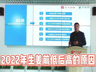 2022年生姜前低后高的原因 (3673播放)