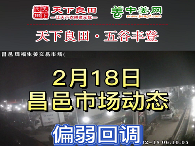 2月18日 昌邑生姜交易實(shí)況（價(jià)格回調(diào)） (3467播放)