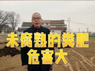 未腐熟的糞肥危客大 ()