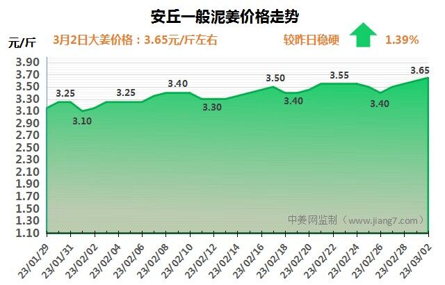 安丘下午