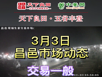 3月3日 昌邑生姜交易實況（行情平穩(wěn)） (3550播放)