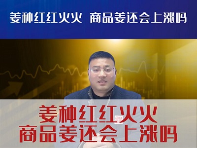 姜種紅紅火火商品姜還會(huì)上漲嗎？ (3592播放)