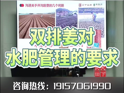 雙排姜對水肥管理的要求 ()