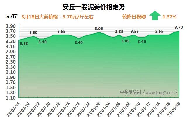 安丘下午
