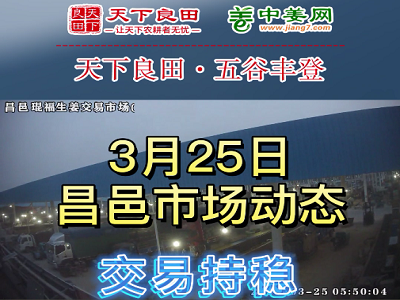 3月25日 昌邑生姜交易實況（交易持穩） (3741播放)