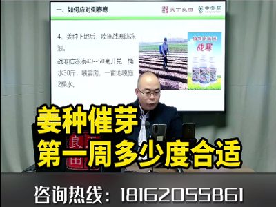 姜種催芽第一周多少度合適？ ()