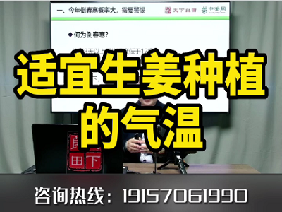 適宜生姜種植的氣溫 ()