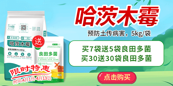 哈茨