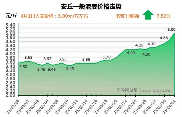安丘下午