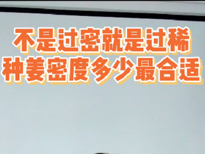 不是過密就是過稀種姜密度多少最合適 ()