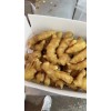 優質生姜購銷18660989133