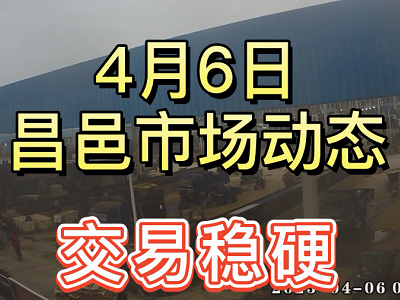 4月6日 昌邑生姜交易實況（價格穩硬） (3741播放)