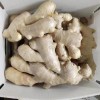 優(yōu)質(zhì)生姜