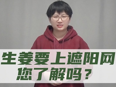 生姜要上遮陽網您了解嗎？ ()