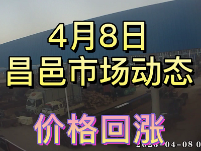 4月8日 昌邑生姜交易實況（價格回漲） (3747播放)