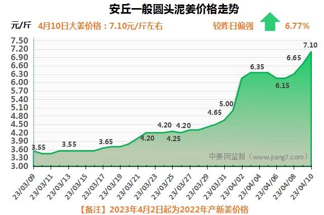 安丘下午