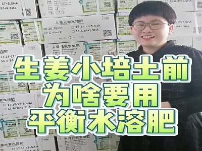 生姜小培土前為啥要用平衡水溶肥 ()