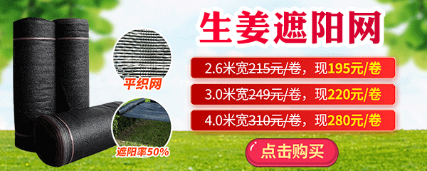 遮陽網