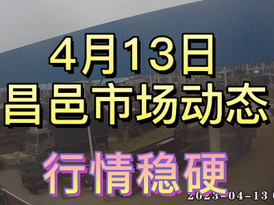 4月13日 昌邑生姜交易實況（行情穩硬） (3747播放)