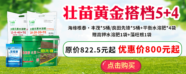 壯苗黃金搭檔5+4