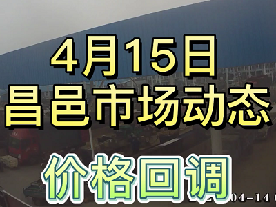 4月15日 昌邑生姜交易實況（價格回調） (3792播放)