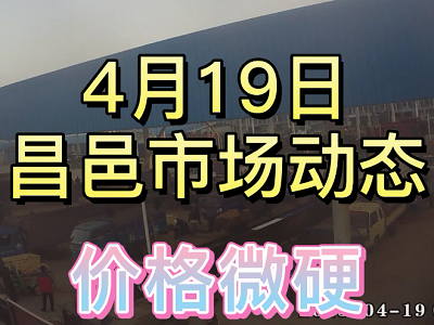 4月19日 昌邑生姜交易實況（價格微硬） (3826播放)