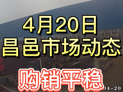 4月20日 昌邑生姜交易實況（購銷平穩(wěn)） (3848播放)