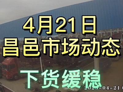4月21日 昌邑生姜交易實況（下貨緩穩） (3824播放)