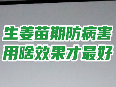 生在苗期防病害，用啥效果才最好？ ()