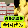 出口貿易 市場批發 供貨電商