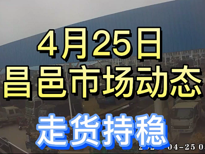 4月25日 昌邑生姜交易實況（走貨平穩） (3834播放)