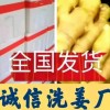生姜外貿出口 市場批發