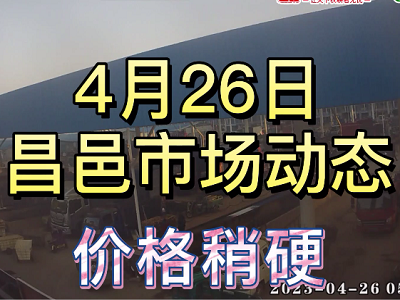 4月26日 昌邑生姜交易實況（價格稍硬） (4090播放)