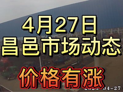 4月27日 昌邑生姜交易實況（價格上漲） (3863播放)