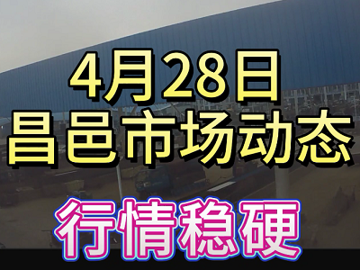 4月28日 昌邑生姜交易實況（行情穩硬） (3864播放)