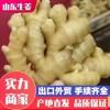 生姜外貿(mào)出口 市場批發(fā)