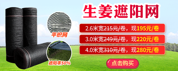 遮陽網