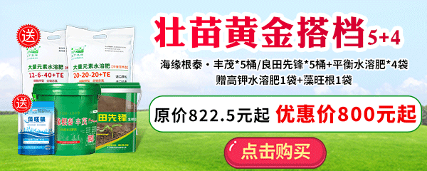 黃金搭檔