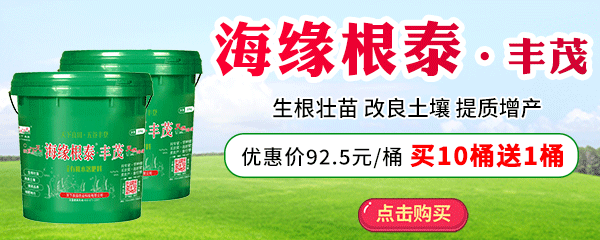 海緣根泰·豐茂