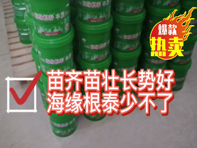 苗齊苗壯長勢好，海緣根泰少了 ()