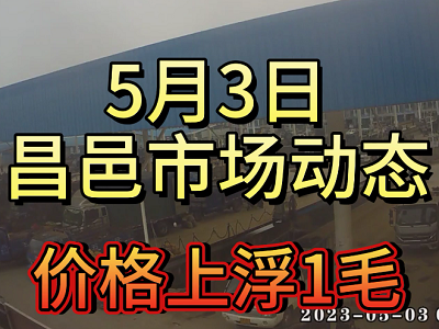 5月3日 昌邑生姜交易實況（價格漲1毛） (3882播放)