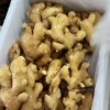 山東優(yōu)質(zhì)生姜18660989133