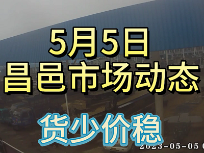 5月5日 昌邑生姜交易實況（貨少價穩） (3892播放)