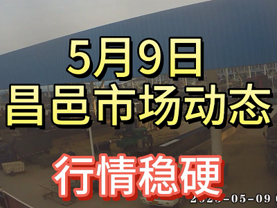 5月9日 昌邑生姜交易實況（行情穩硬） (3908播放)