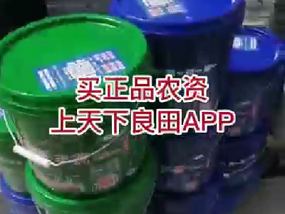 海緣根泰+鈣優鎂 火爆出單中... ()