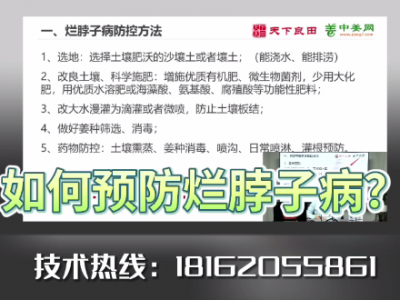 如何預防爛脖子病？ ()