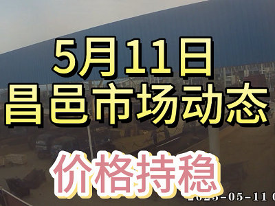 5月11日 昌邑生姜交易實況（價格持穩） (3893播放)