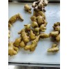 生姜大量出窖